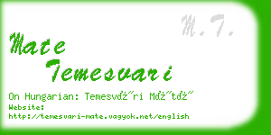 mate temesvari business card